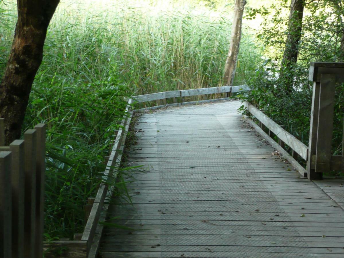 La Porte Du Paradis Doussard Esterno foto